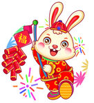兔年 