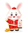 兔年 