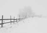 雪 