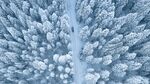 雪