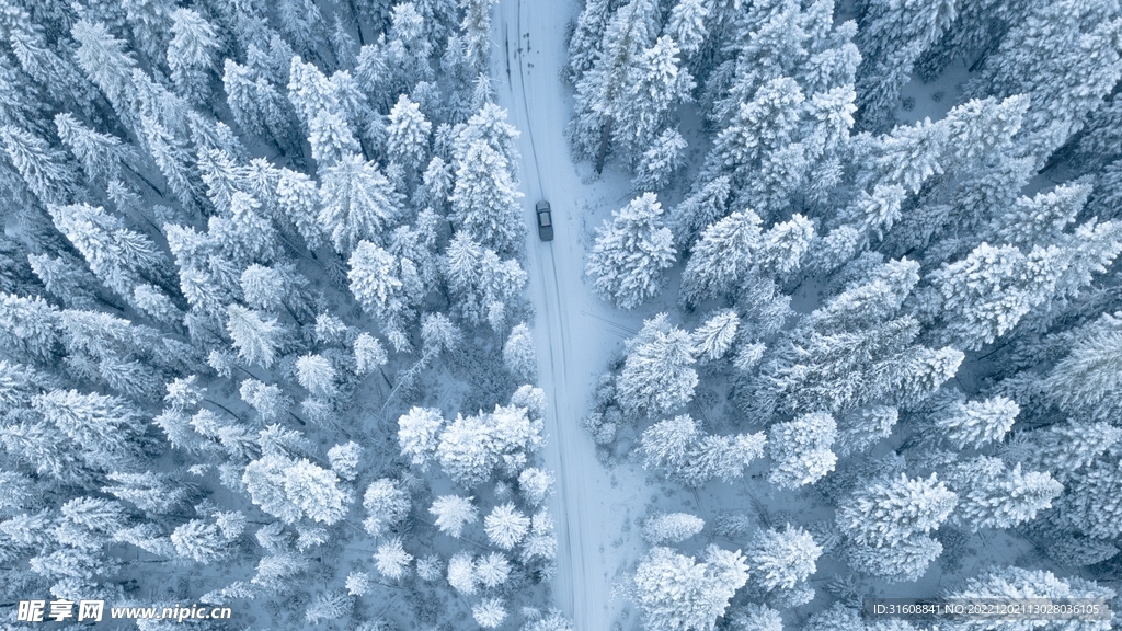 雪