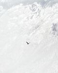 雪 