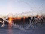 雪 