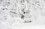 雪