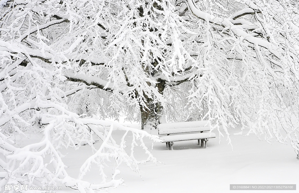 雪