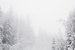 雪