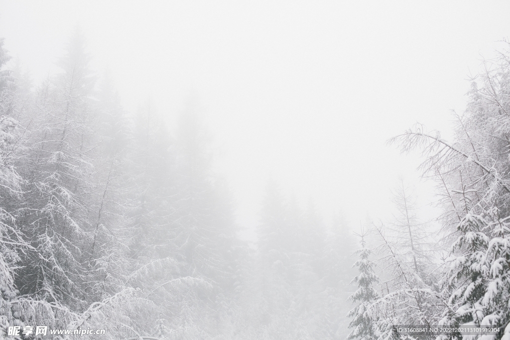 雪