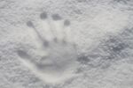 雪 
