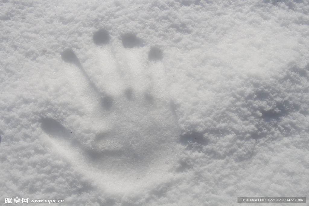 雪 