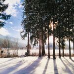 雪 