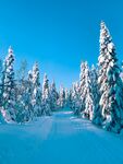 雪