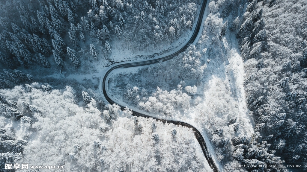 雪 