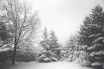 雪 