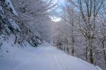 雪 