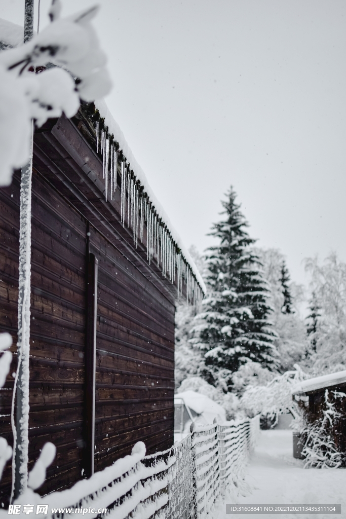 雪