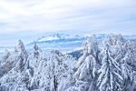 雪 