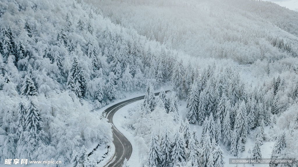 雪