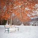 雪 