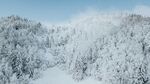 雪 
