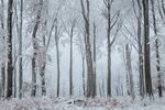 雪