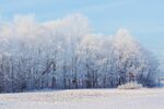 雪 