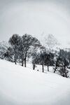 雪 