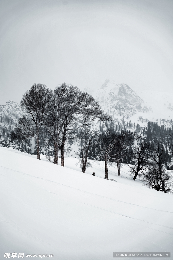 雪 