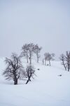 雪 