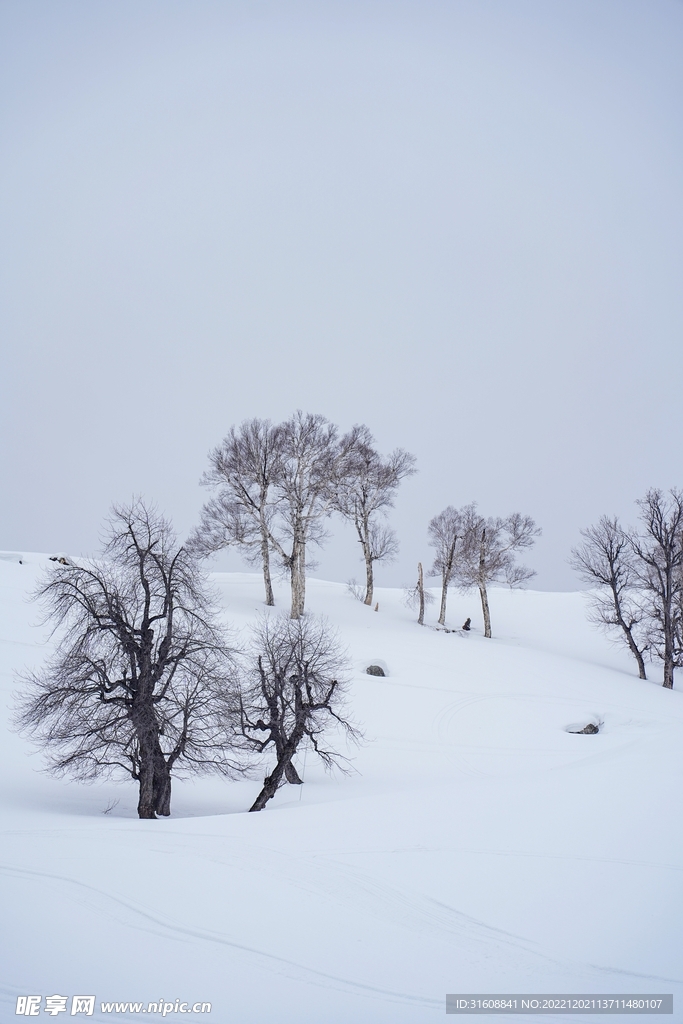 雪 