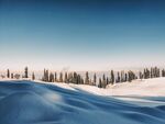 雪 