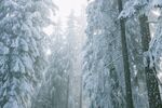 雪