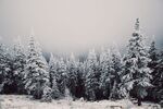 雪