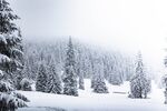 雪 