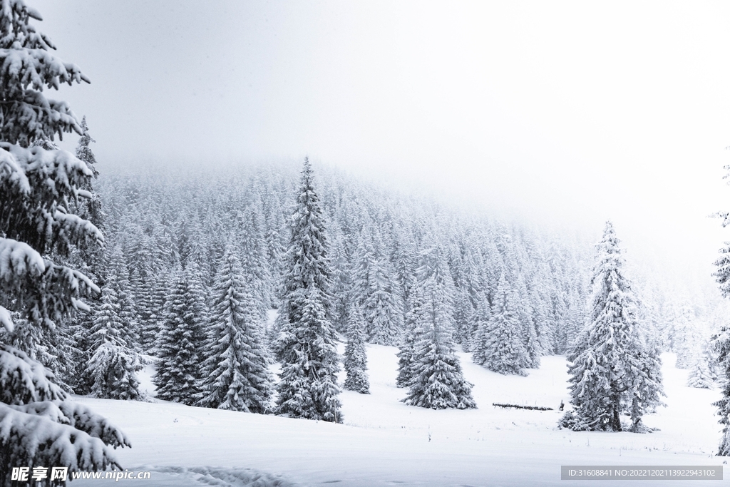 雪 