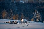 雪 