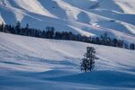 雪