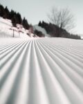 雪 