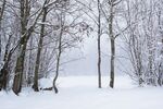 雪