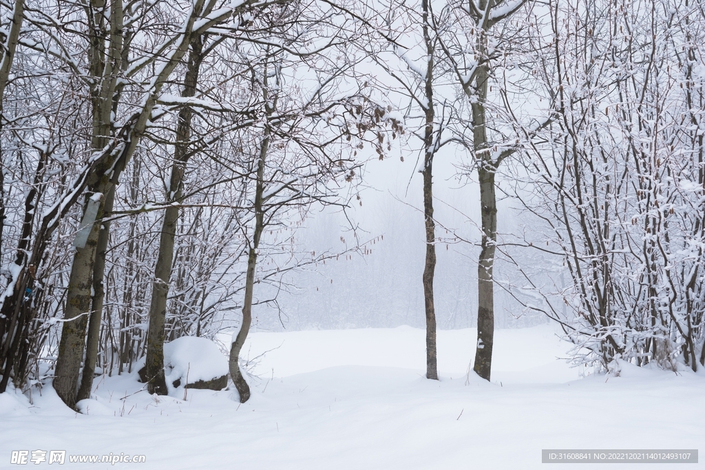 雪