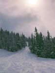雪 