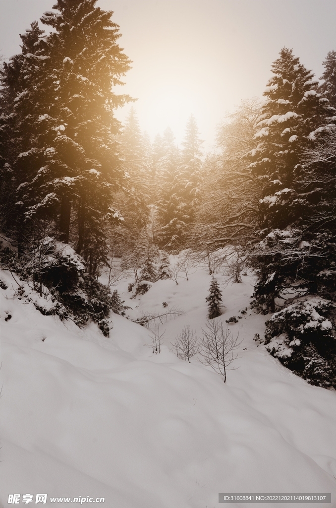 雪 
