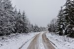 雪 