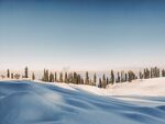 雪
