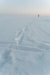 雪 
