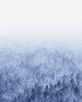 雪