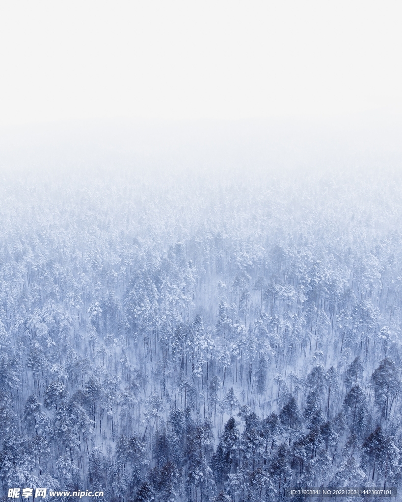 雪
