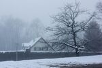 雪 