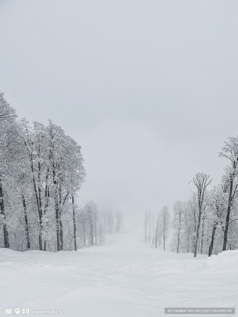 雪 
