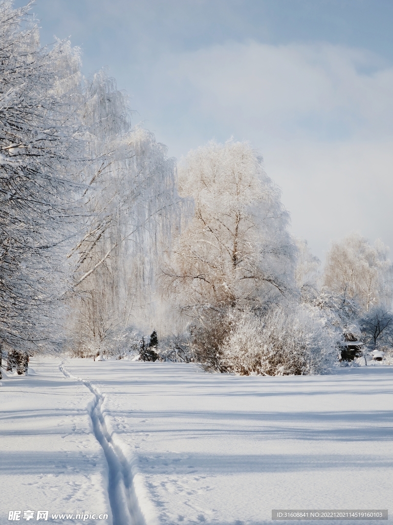 雪 