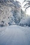 雪 